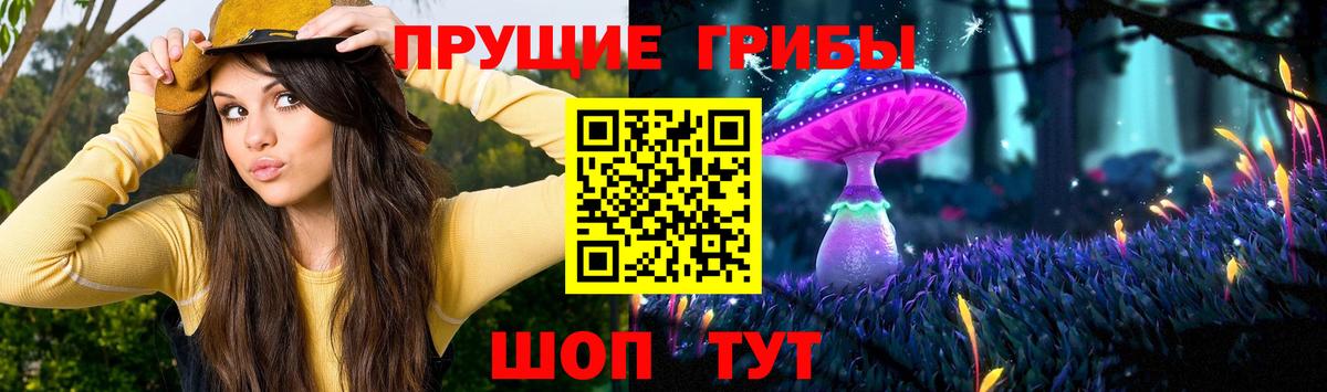 Галлюциногенные грибы прущие грибы  Вход с VPN  Красноярск  Псилоцибиновые грибы прущие грибы 